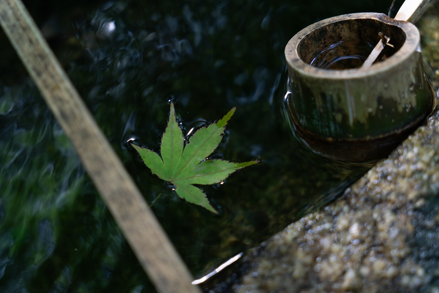 5 razones para purificar el agua en tu hogar